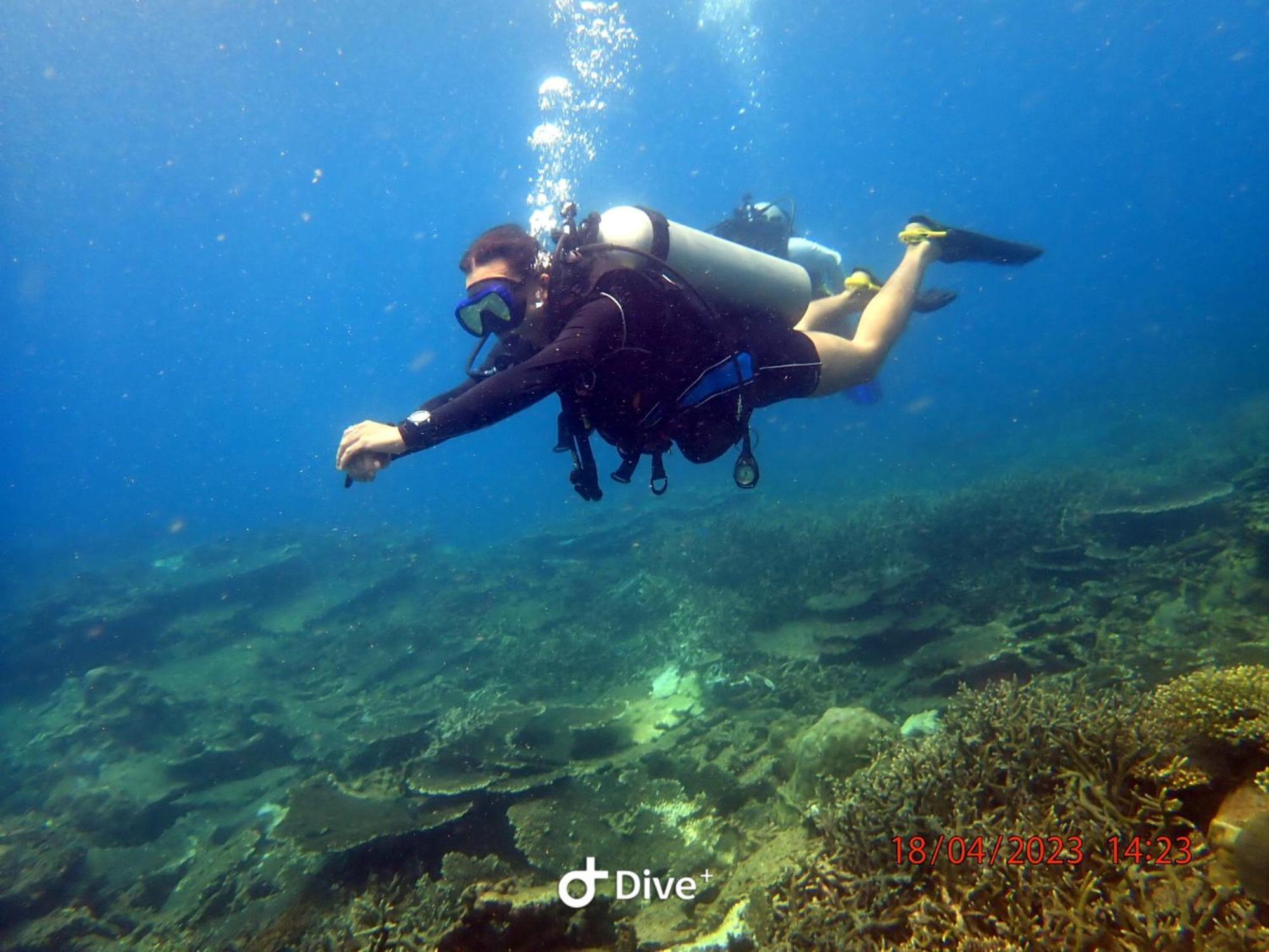 Con Dao Backpacker - Loco Camping Chi Khu Co Ong Экстерьер фото