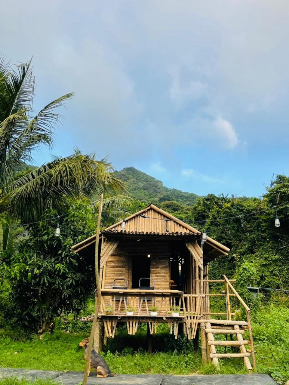 Con Dao Backpacker - Loco Camping Chi Khu Co Ong Экстерьер фото